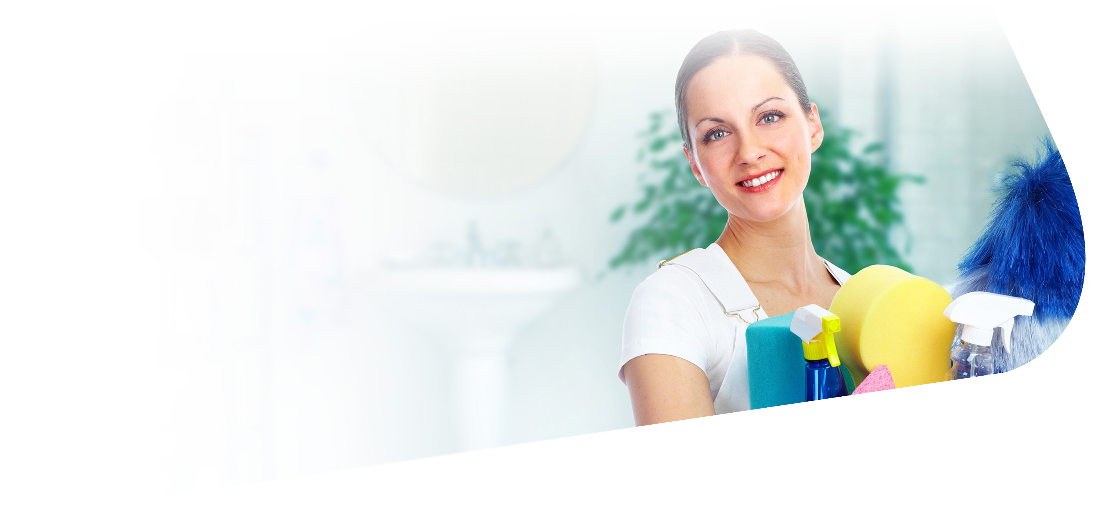 Home Hana's Amazing Cleaning.